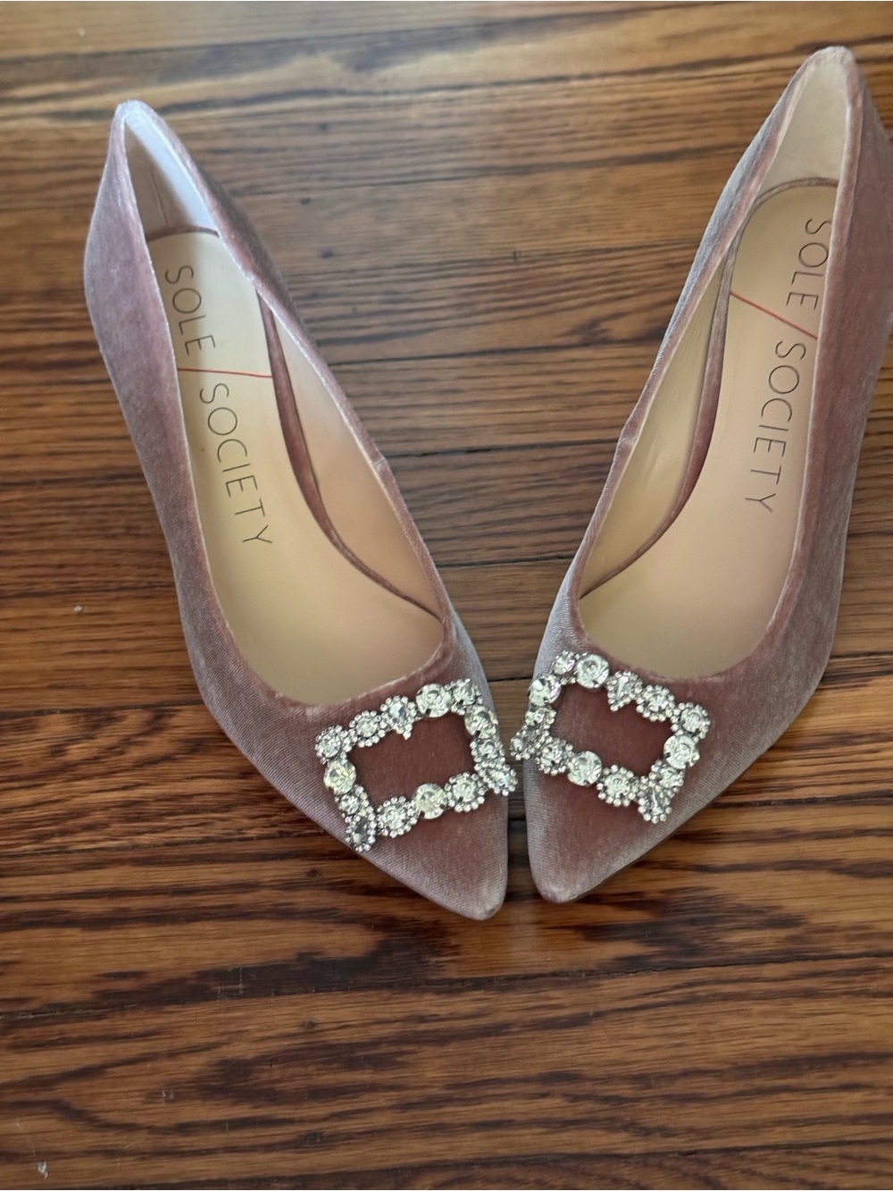 Sole Society Blush Pink Velvet Pointed-Toe Heels with Crystal Buckle